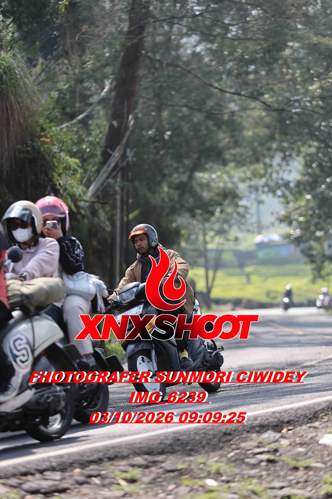 IMG_6239_result.jpg