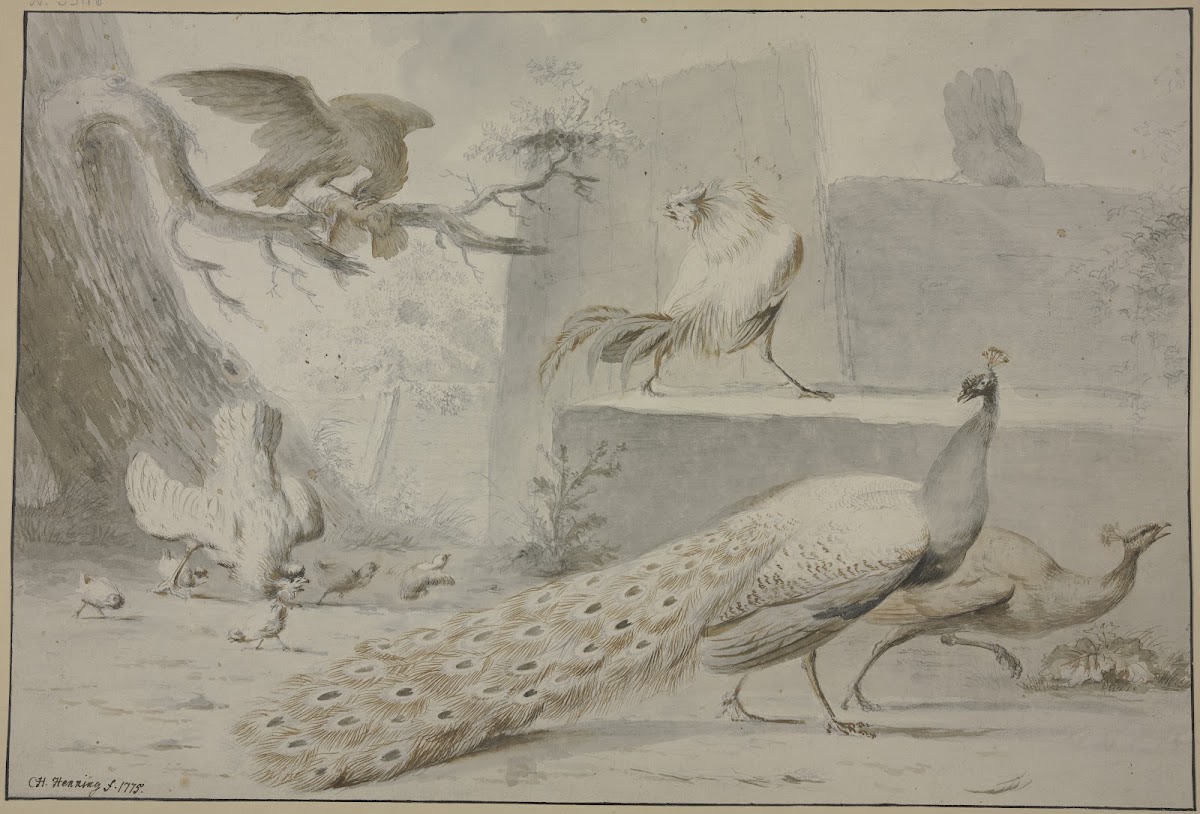 Hühnerhof von einem Adler überfalle 1775
