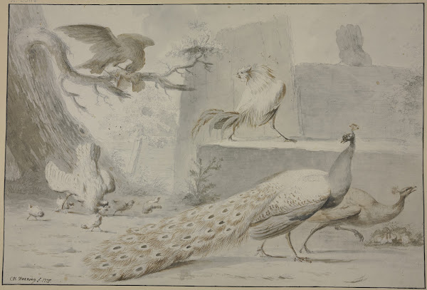 Hühnerhof von einem Adler überfalle 1775