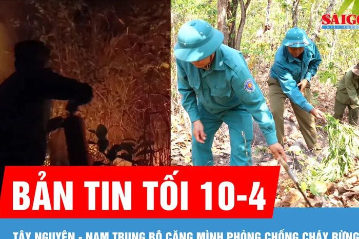 Bản tin tối ngày 10-4: Tây Nguyên - Nam Trung bộ căng mình phòng chống cháy rừng - Báo Sài Gòn Giải Phóng