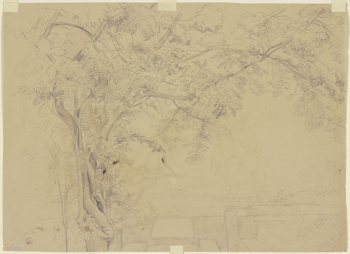 Tree ca 1856  1857