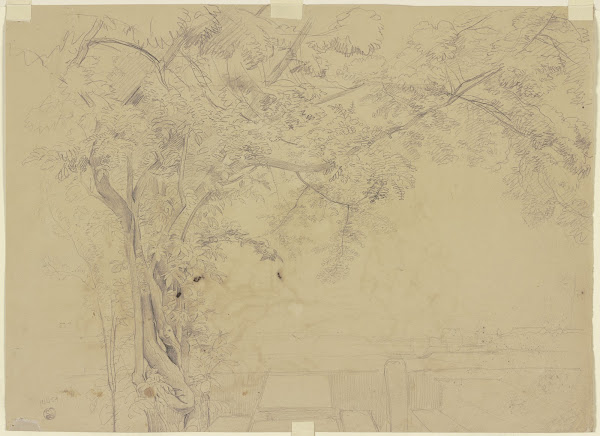 Tree ca 1856  1857
