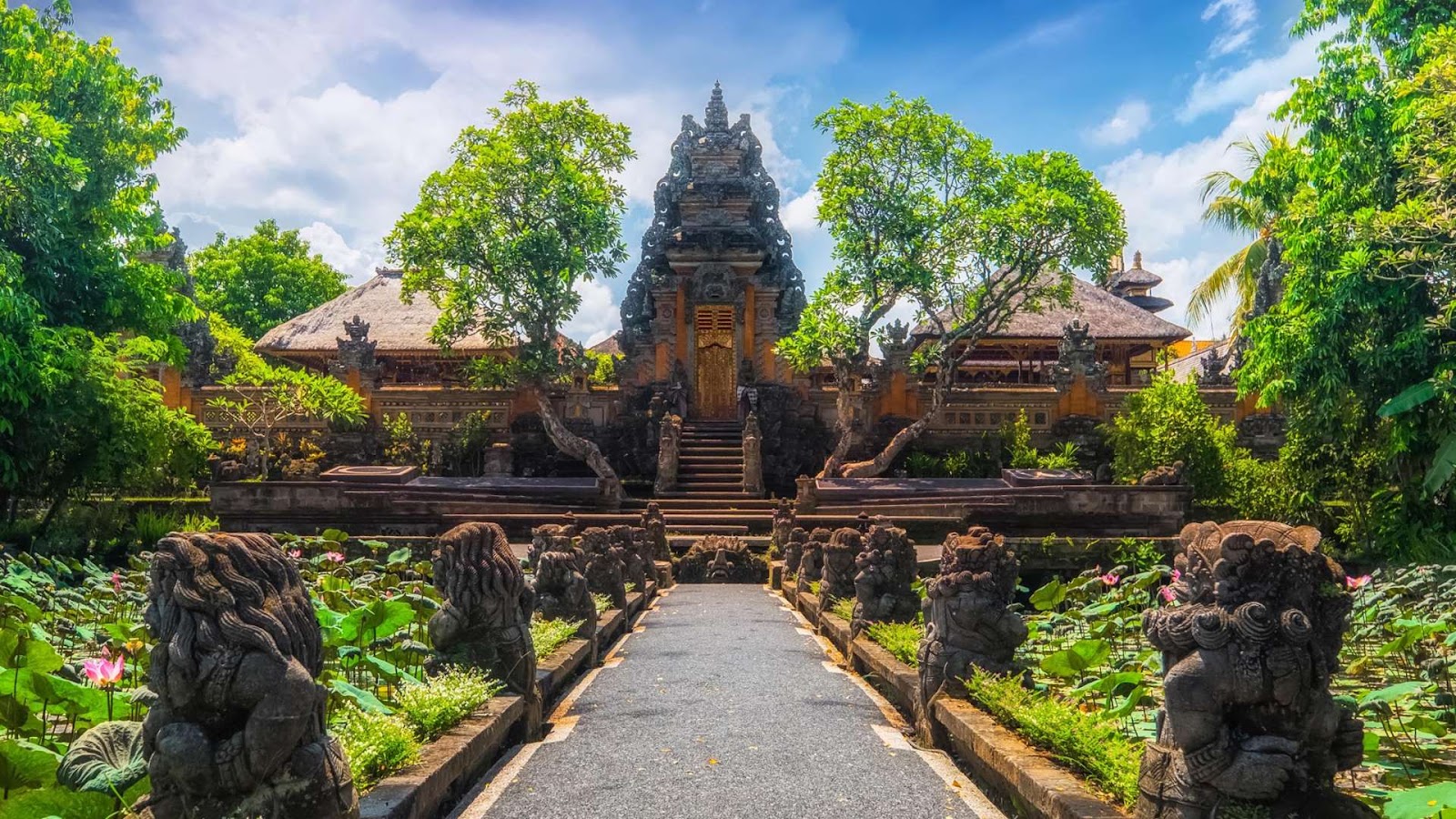Bali 6