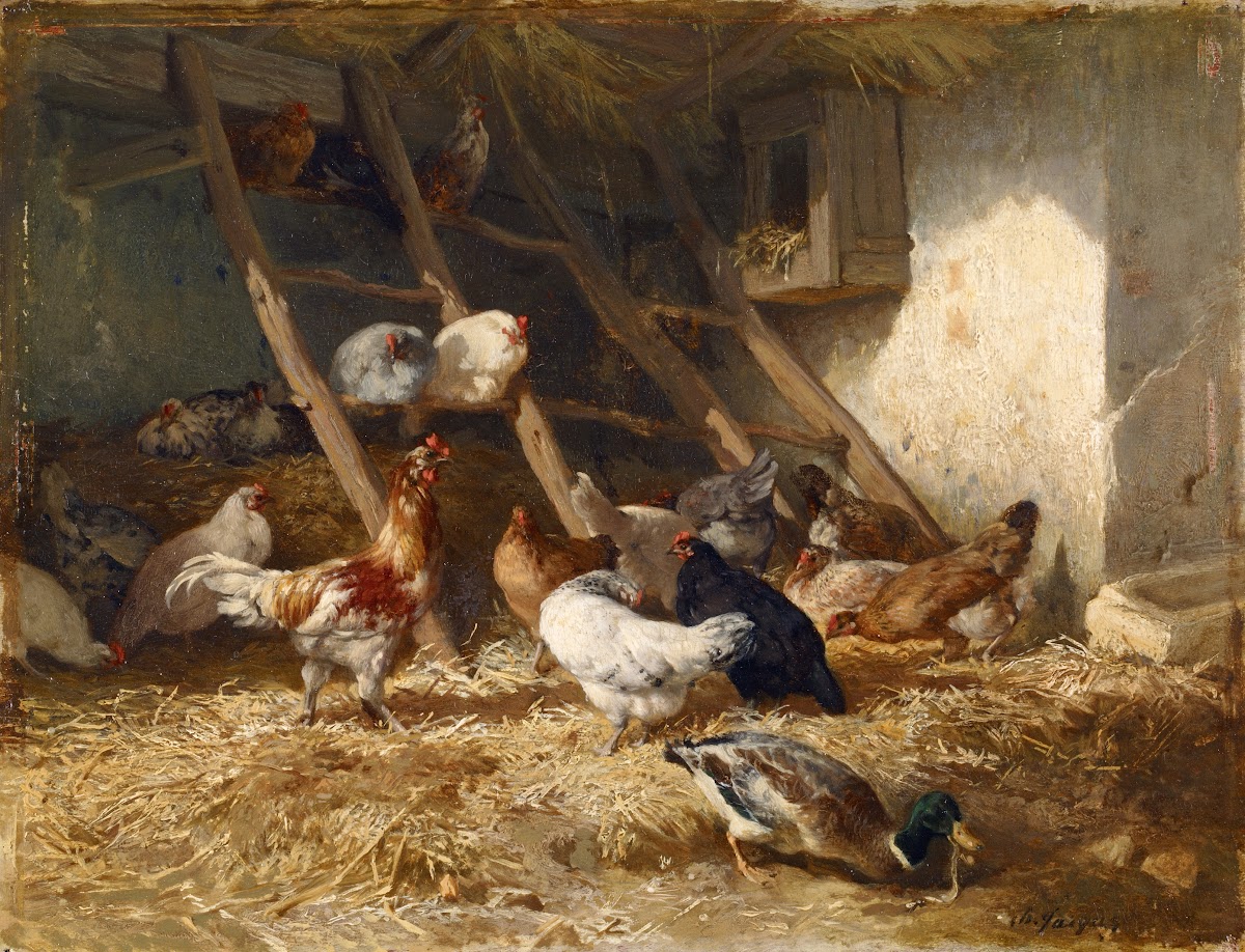 Hoenders 1828  1860