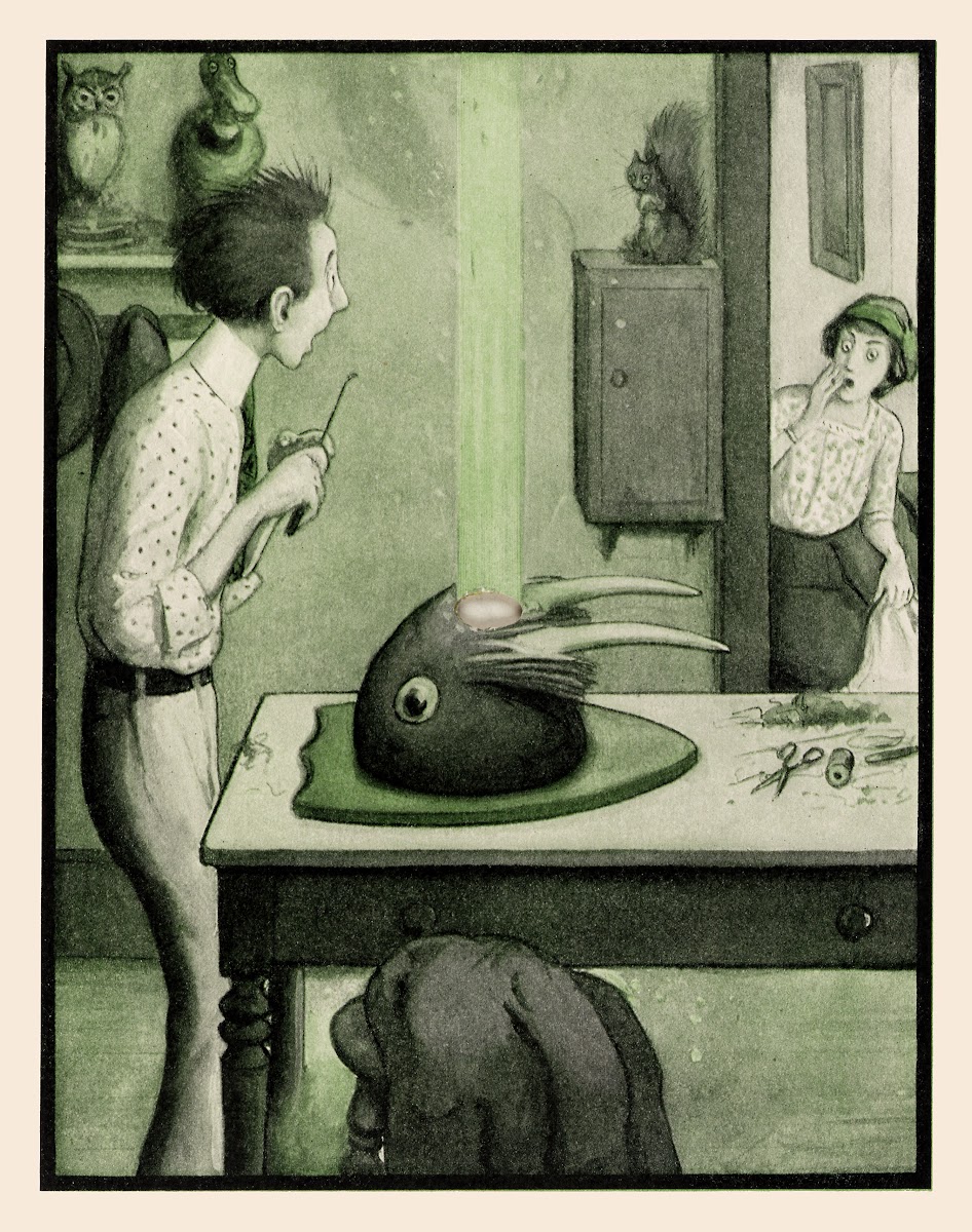 The Rocket Book Pl 21 1912