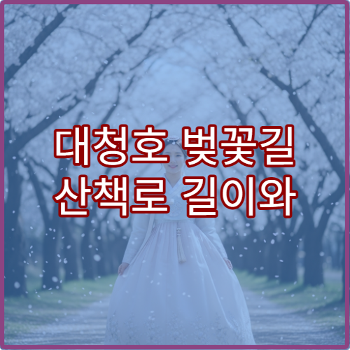대청호 벚꽃길 산책로 길이와 소요시간 실시간 후기