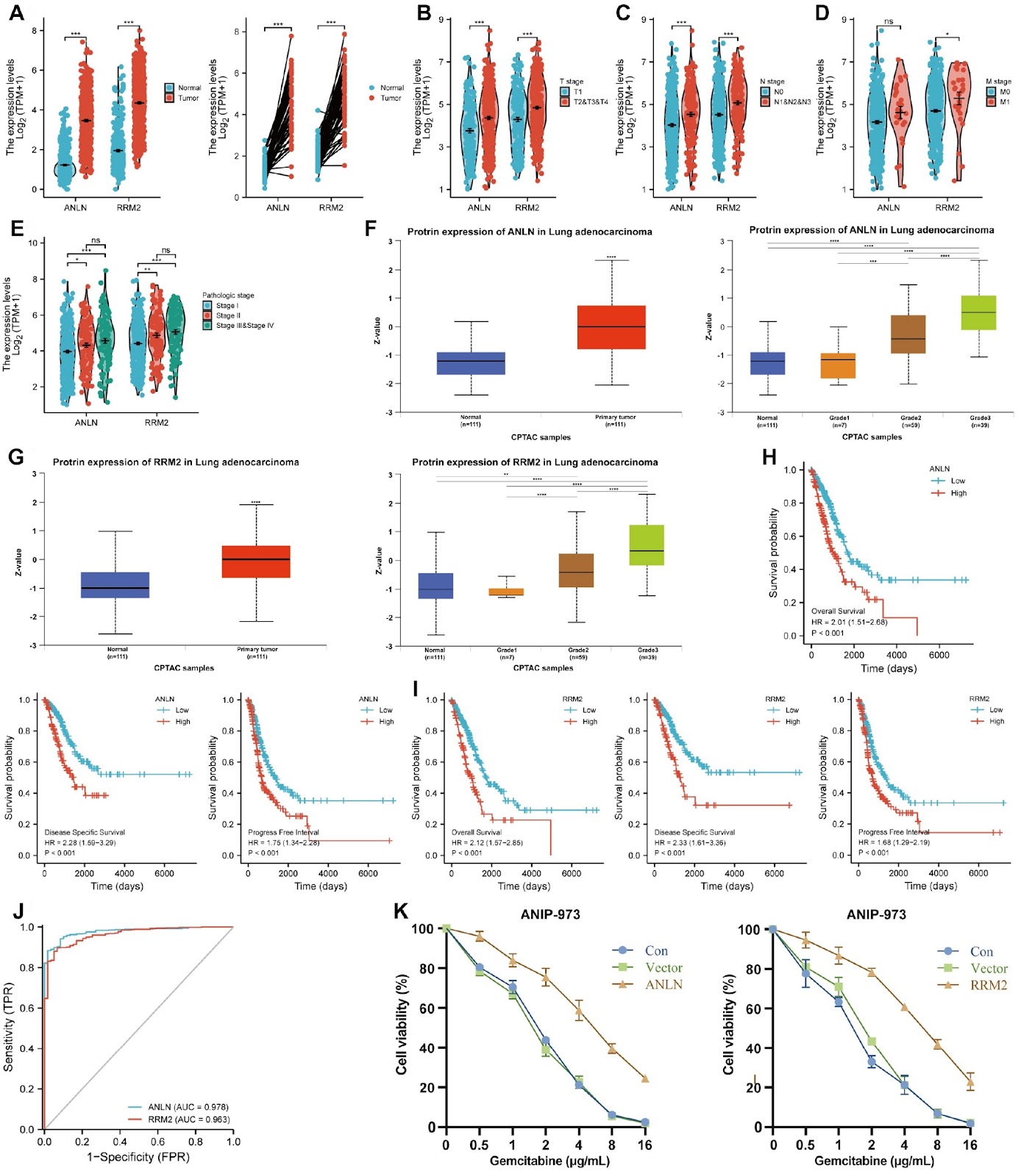 lncRNA CYTOR promotes lung adenocarcinoma gemcitabine resistance and epithelial-mesenchymal transition by sponging miR-125a-5p and upregulating ANLN and RRM2