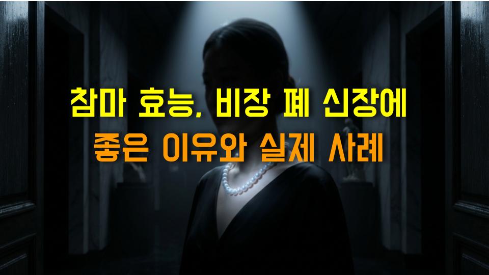 참마 효능, 비장 폐 신장에 좋은 이유와 실제 사례