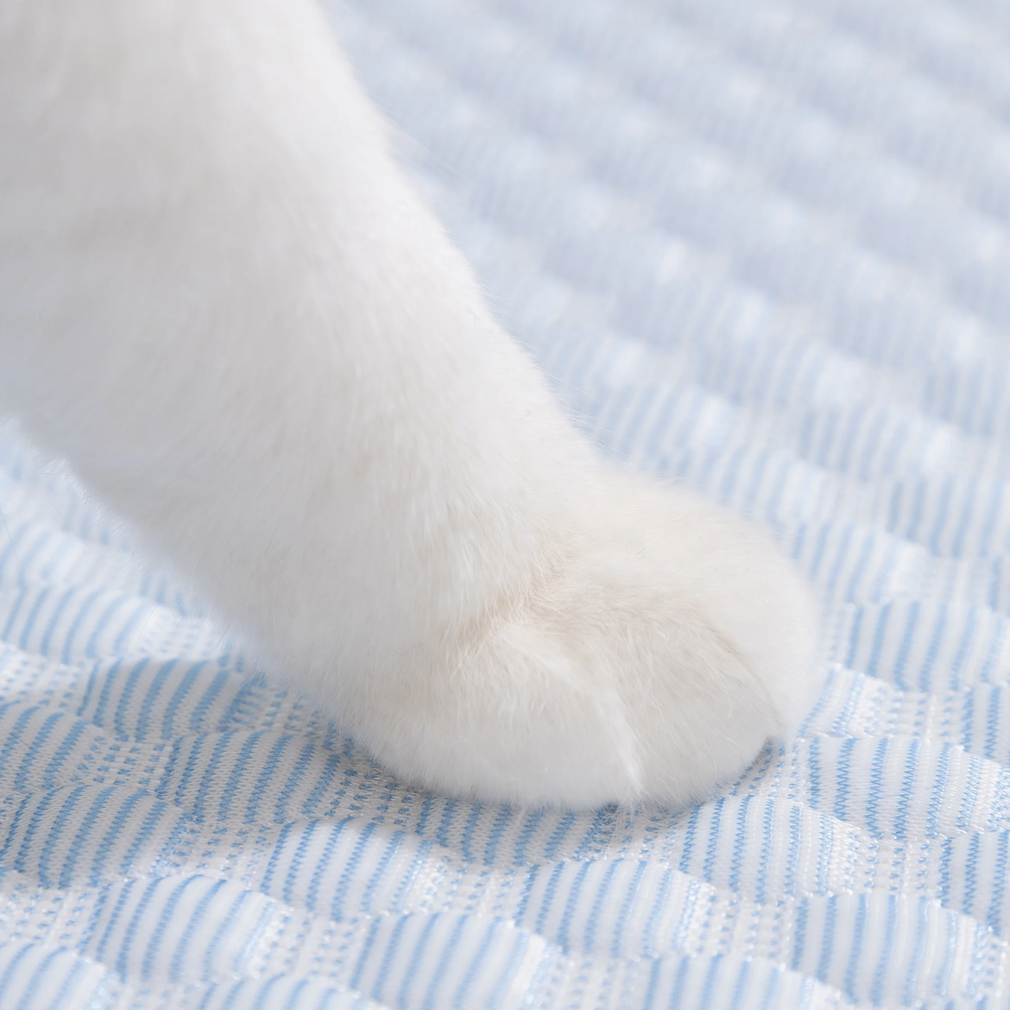 Cooling mat for pets, removable