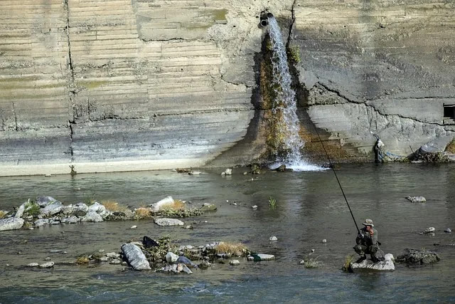 생활 정보가 많을수록 선택이 어려워지는 이유