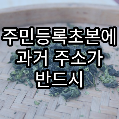 주민등록초본에 과거 주소가 반드시 필요한 상황별 정리