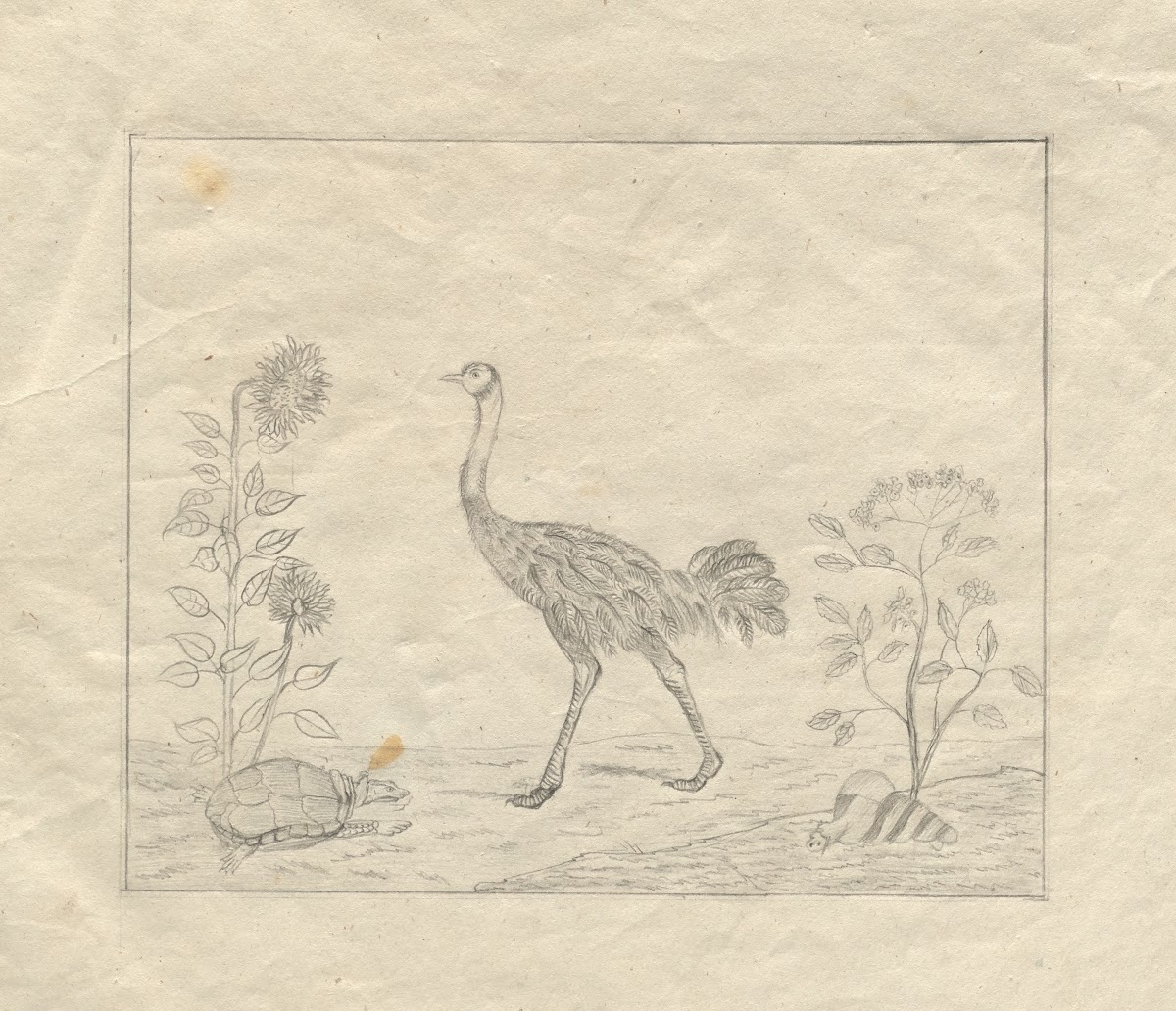 Sketchbook 1850