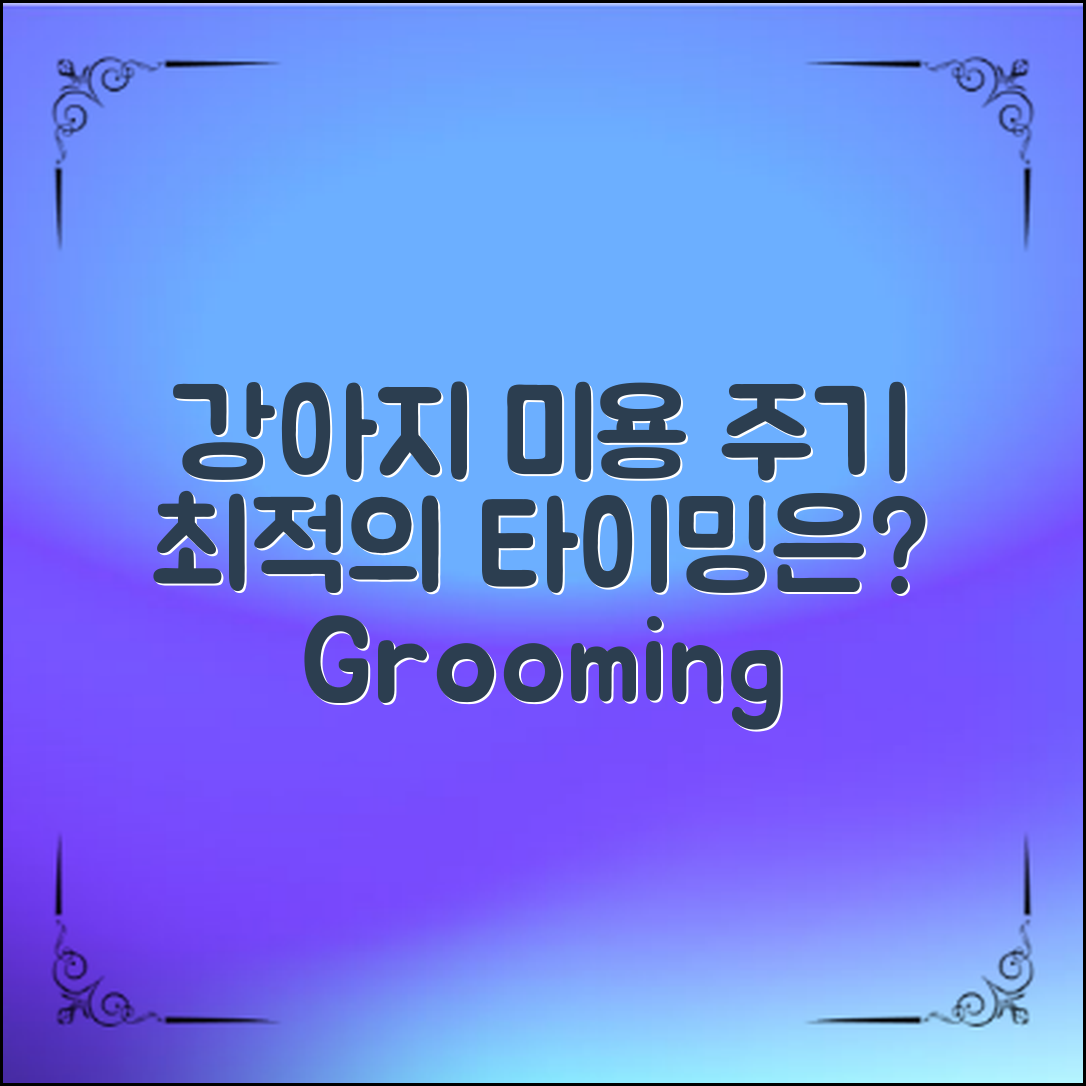 강아지미용주기: 언제가 최적일까?