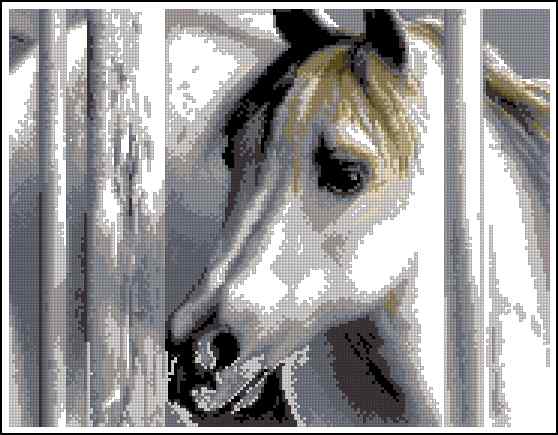 CMP 400207 White Foal