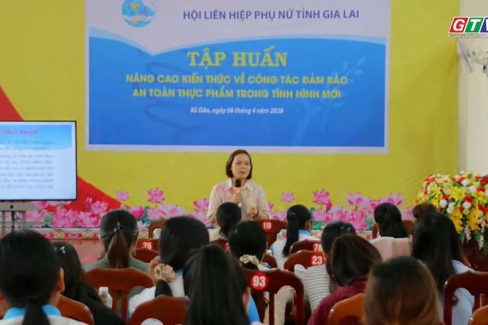 Gia Lai: 800 hội viên phụ nữ được tập huấn về an toàn thực phẩm - Báo Gia Lai