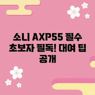소니axp55대여, 초보자 가이드, 소니 카메라 대여, 영상 촬영 입문, 초보 영상 제작