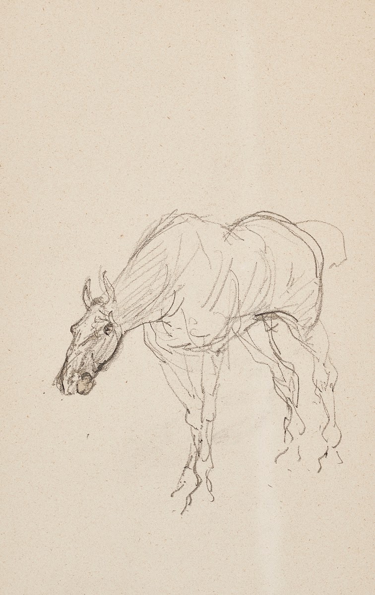 Cheval 1879 1881