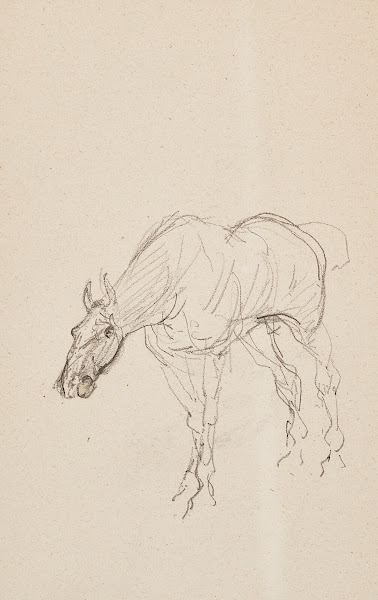 Cheval 1879 1881
