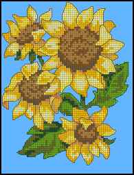 CMP 170076 Sunflower Drama