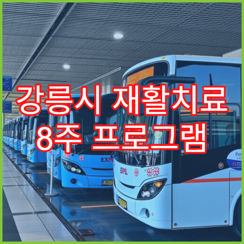 강릉시 재활치료 8주 프로그램 구성과 일상 복귀 체감 효과