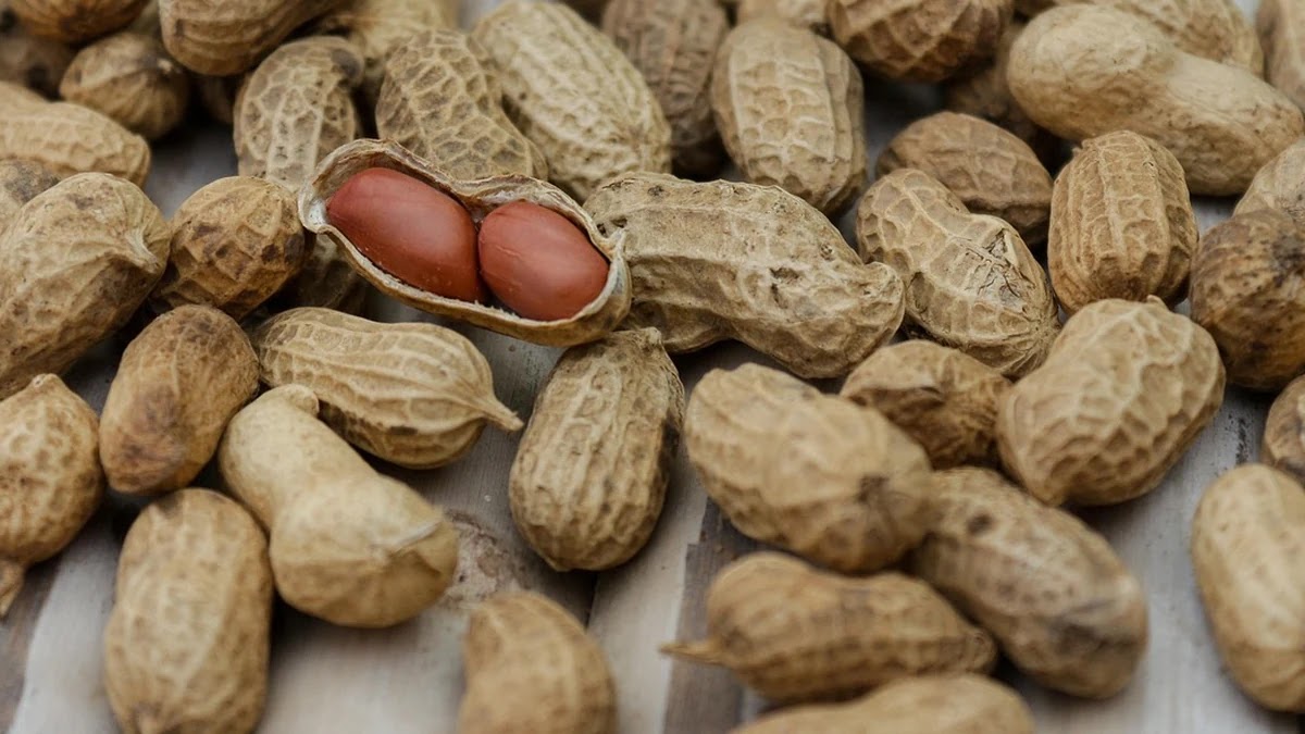 다이어트 식단에서 하루 단백질 섭취량 계산법과 식품별 비교