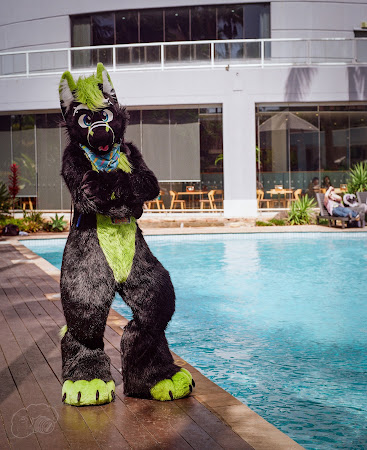 furdu-.jpg