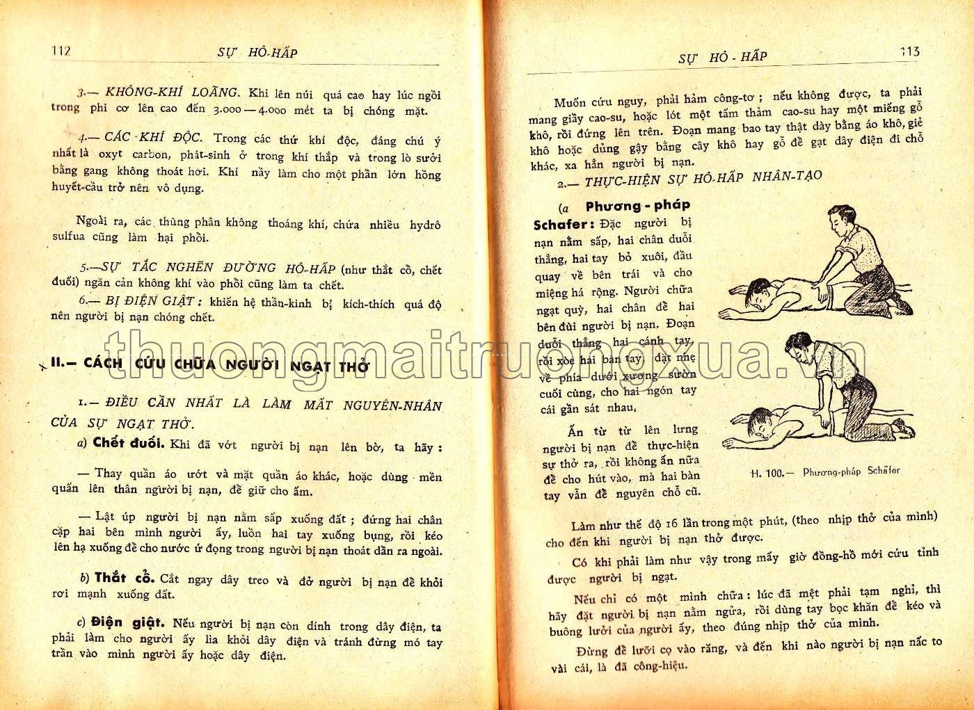 Vạn vật học lớp đệ tứ (1967) - Trang 57