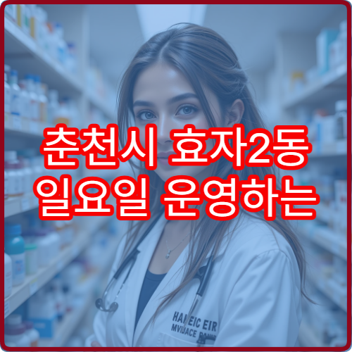 춘천시 효자2동 일요일 운영하는 당직 약국 정보 정리