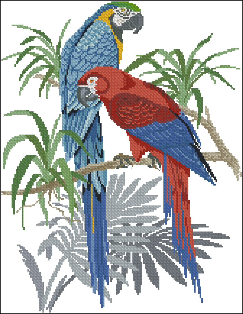 CMP ER12765 Blue Macaws