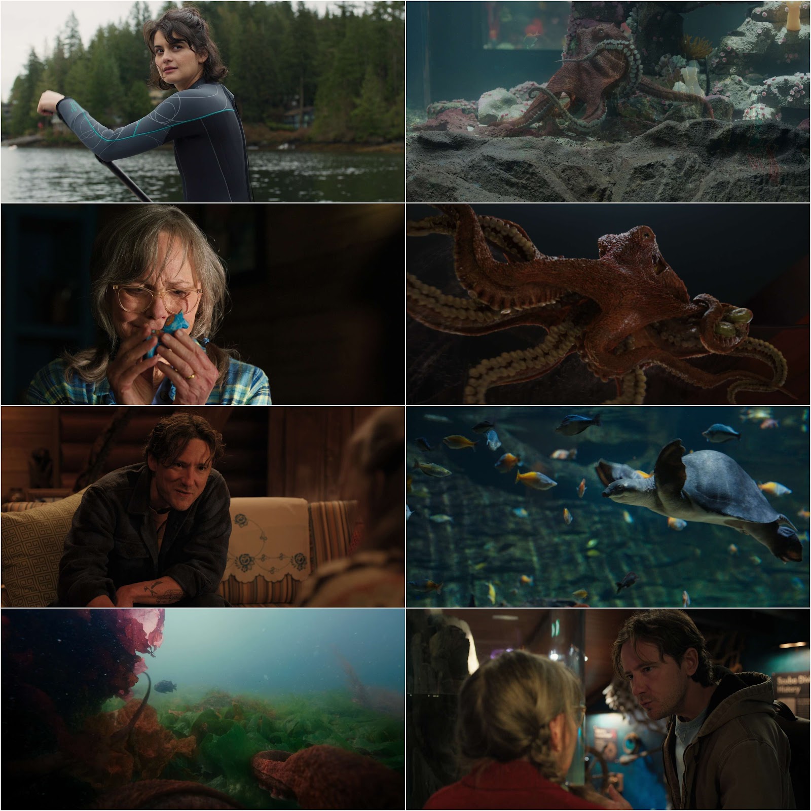 Remarkably Bright Creatures (2026) (Hindi + English) Dual Audio Hollywood Movie HD ESub screenshot 1