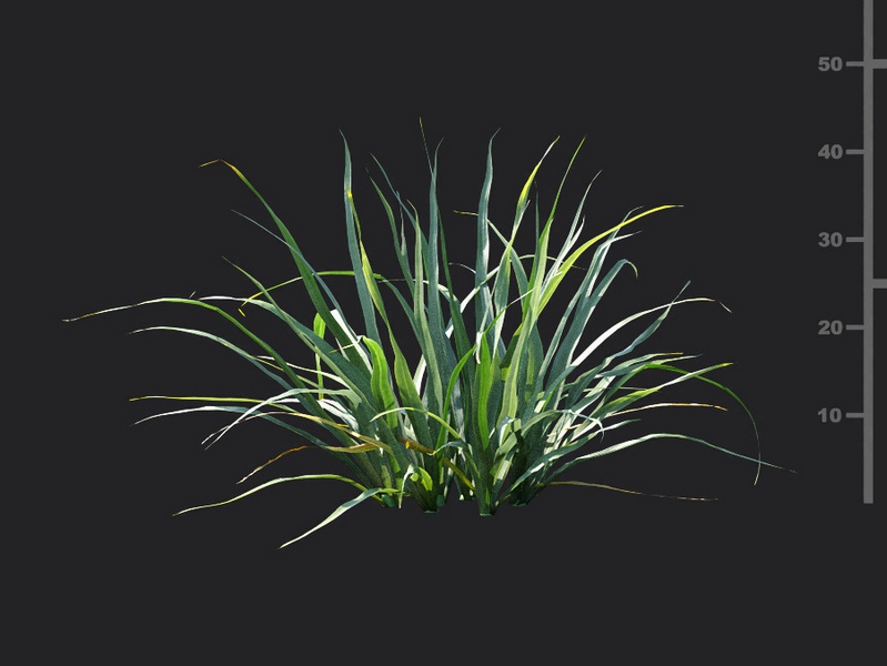 Maxtree - Plant Models Vol.115