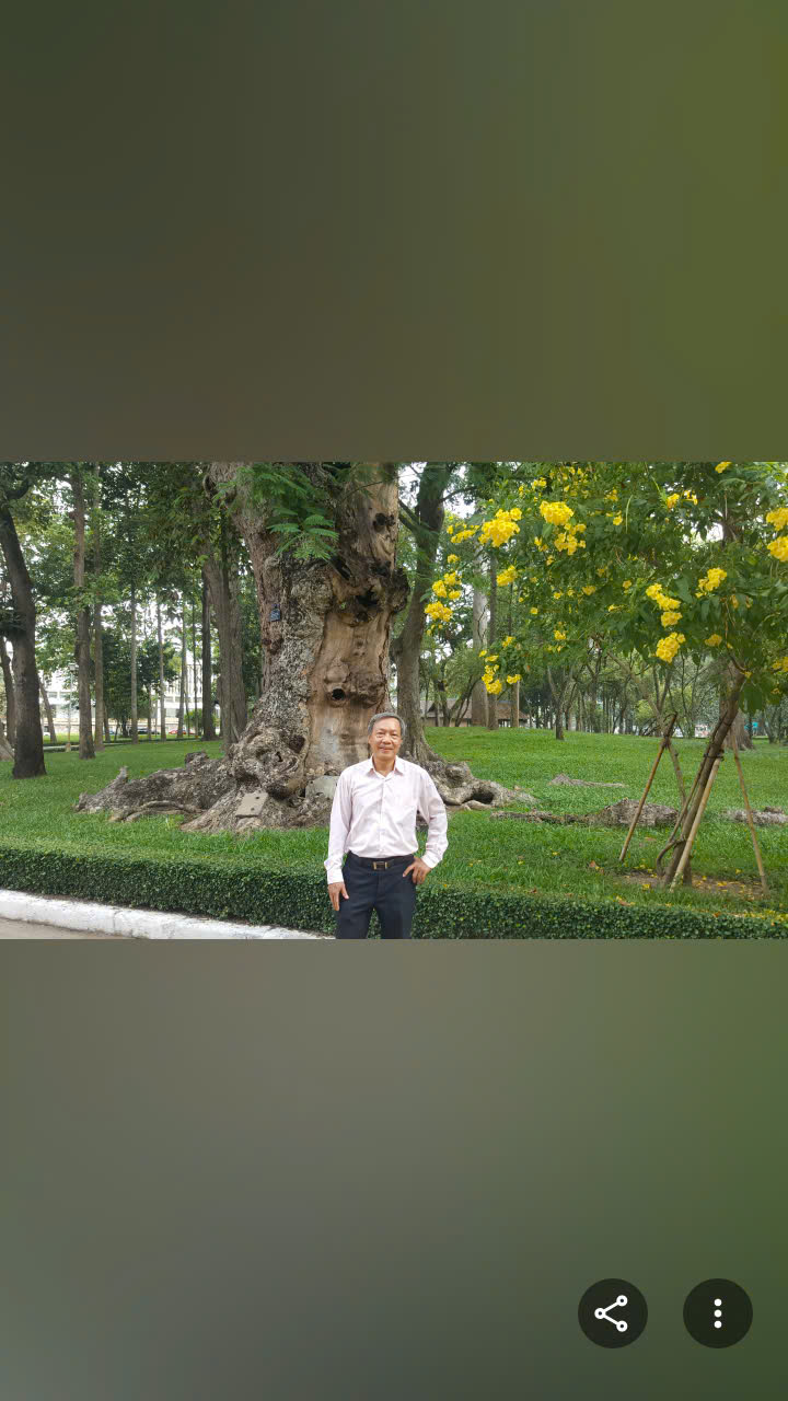 TS. Trà Thanh Phương