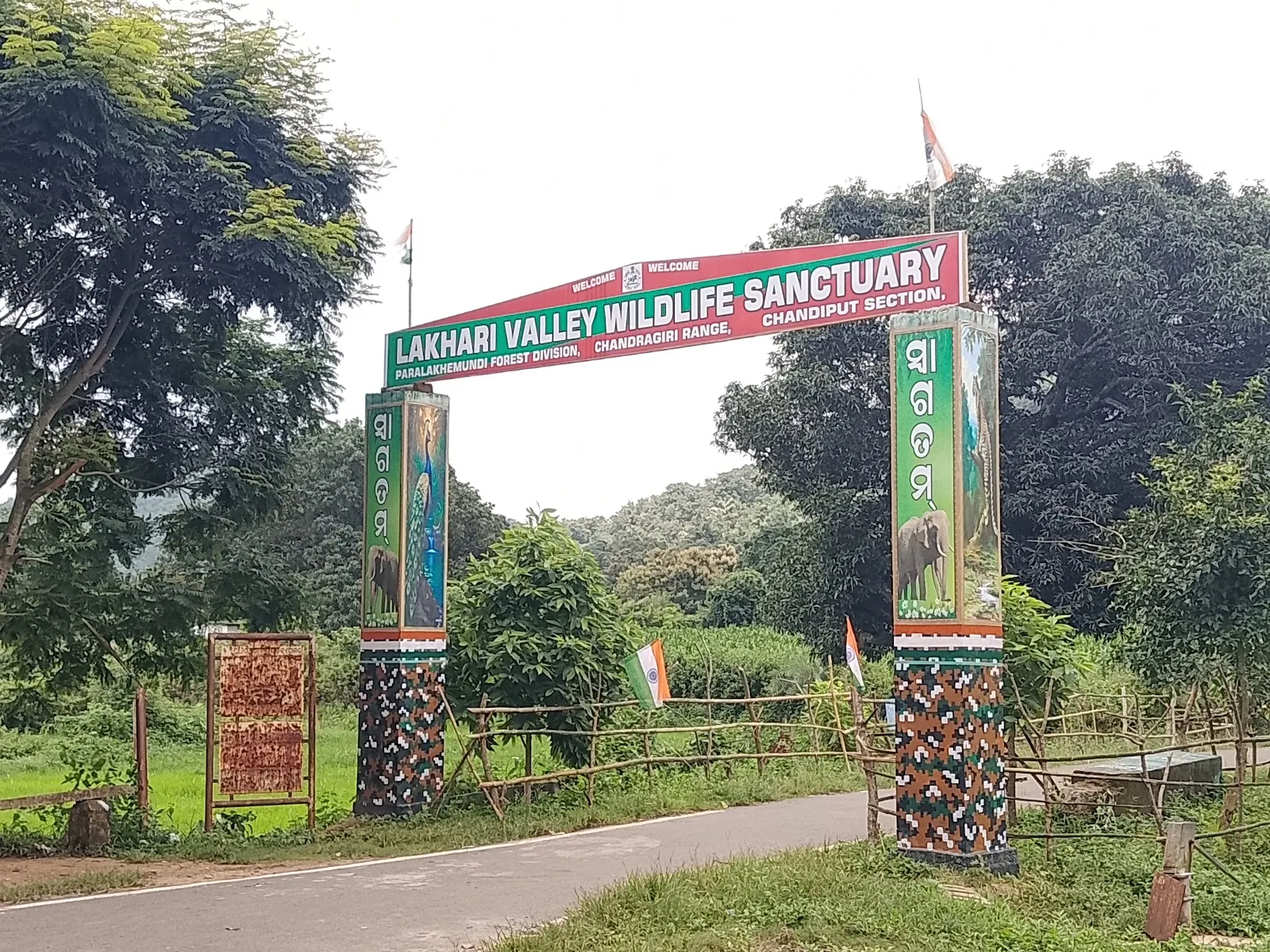 Lakhari Valley