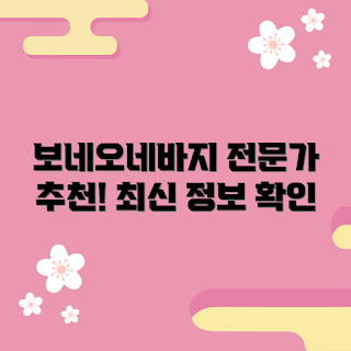 보네오네바지 추천, 보네오네바지 특징, 보네오네바지 착용법, 무엇을 고려해야 하나, 왜 보네오네바지를 선택해야 할까