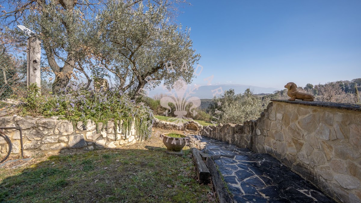 בית אלבה (Casa Alba) — 12