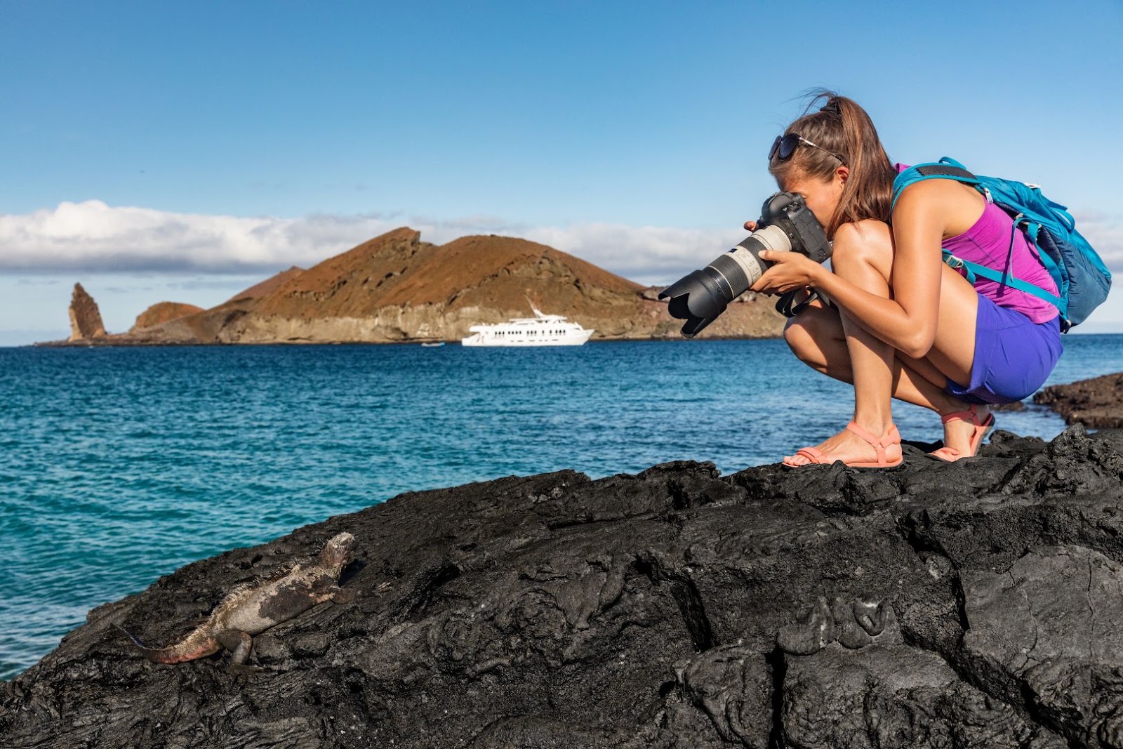 Traveler photographing a marine iguana on the volcanic shoreline of the Galápagos Islands.
