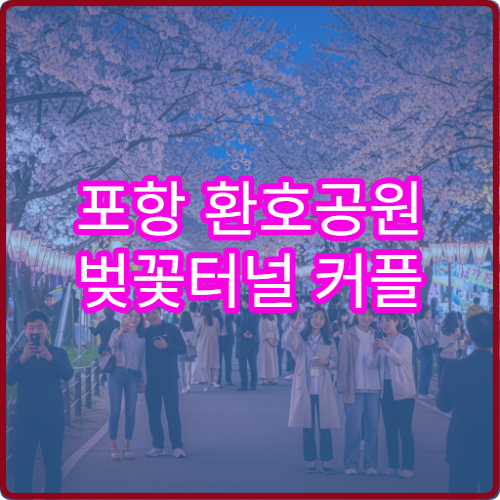 포항 환호공원 벚꽃터널 커플 손잡고 걷기 완전 평지 30분 완벽 동선