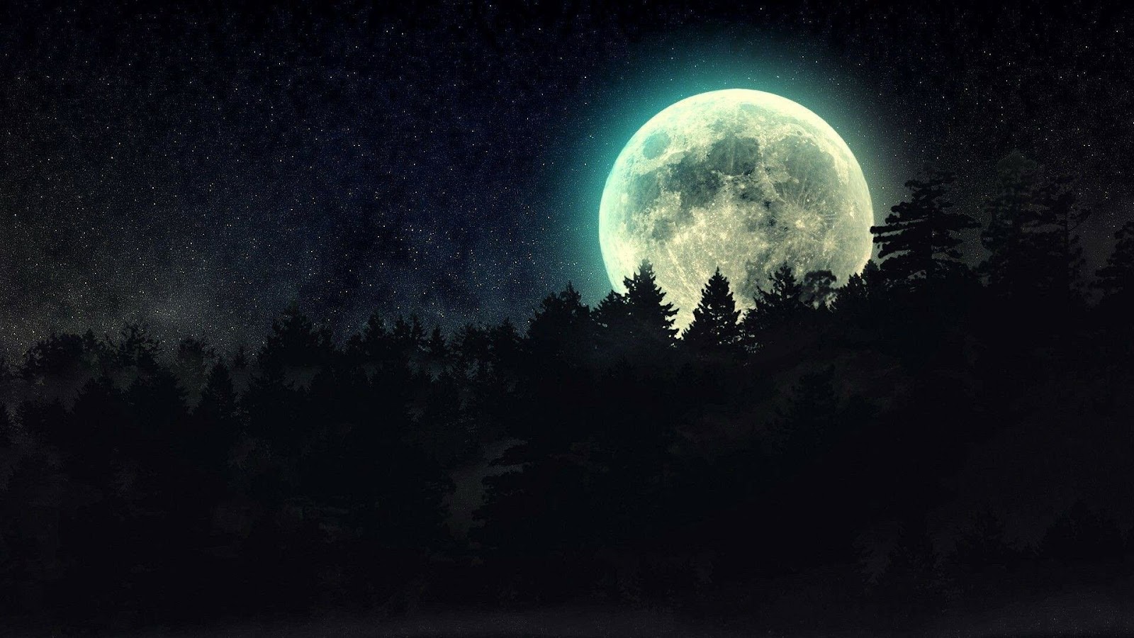 Night Moon Wallpaper