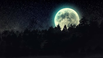 Night Moon Wallpaper
