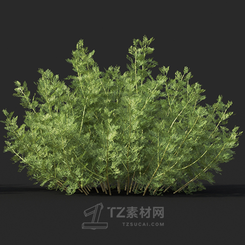 Maxtree - Plant Models Vol.60