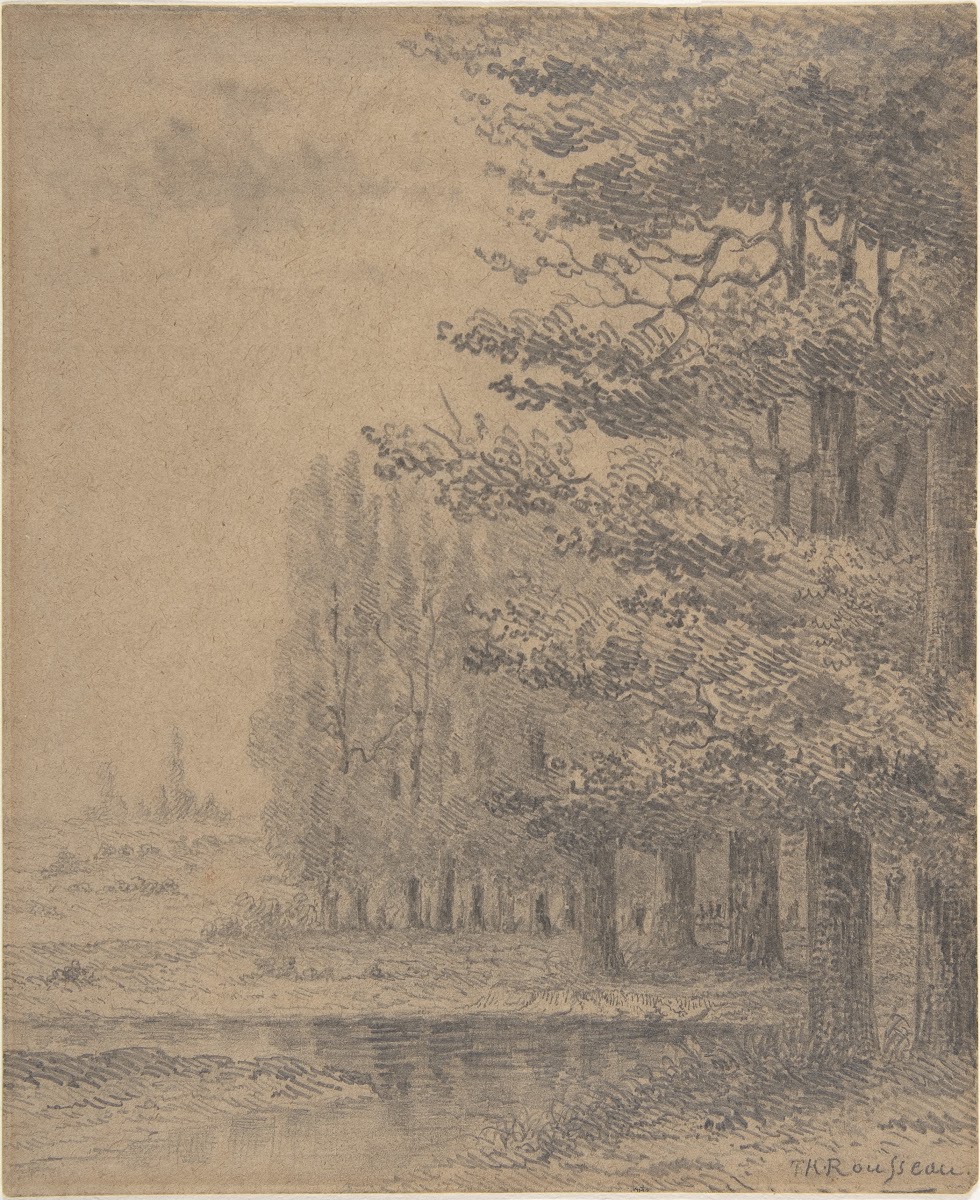 Landscape A Grove of Trees Standing Near a River 182867