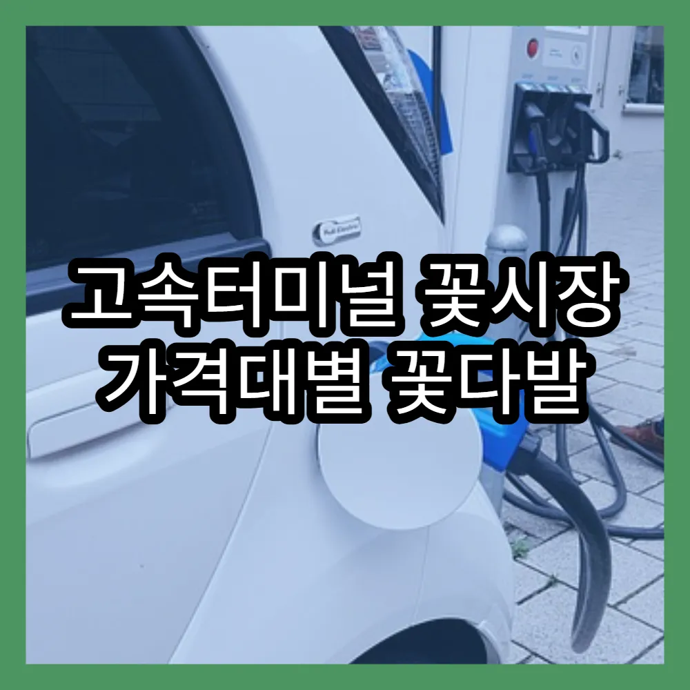 고속터미널 꽃시장 가격대별 꽃다발 추천 리스트