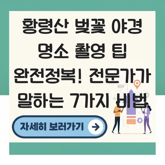 황령산 벚꽃 야경 명소 촬영 팁