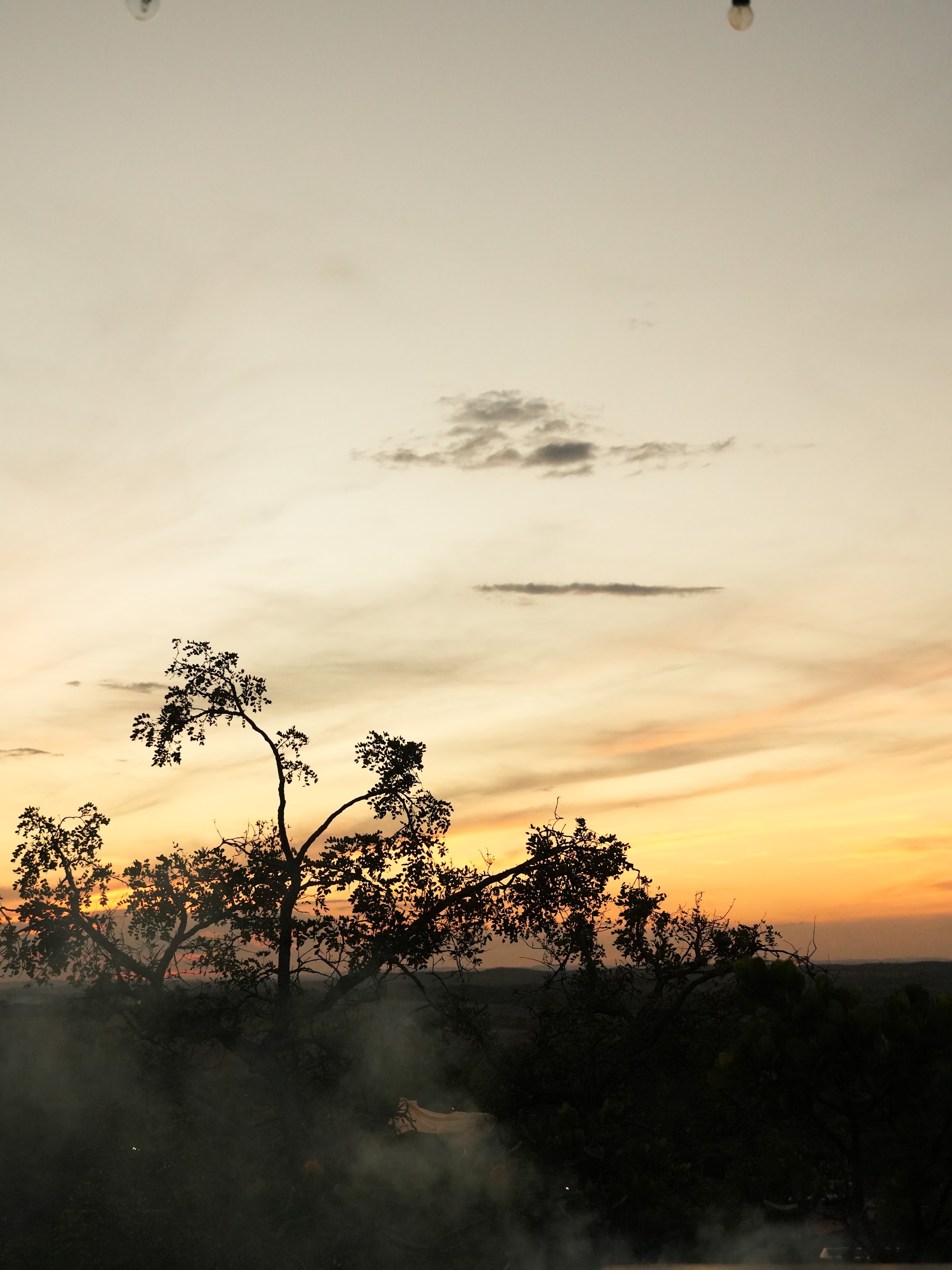 Silhueta de árvore contra o céu alaranjado do entardecer, com neblina baixa subindo do vale na Serra do Cipó