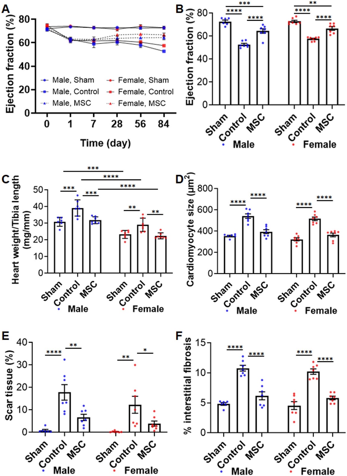 Device encapsulated MSCs for adaptive secretome therapy to effectively target ischaemic heart injury