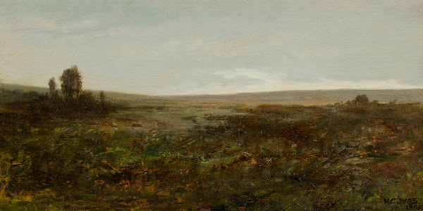 Waste Lands 1895