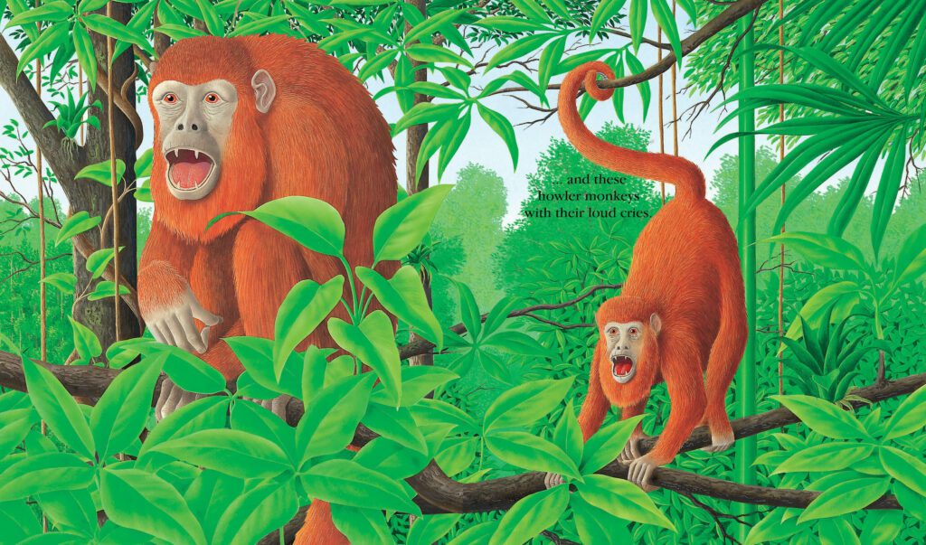 The Jungle PB - thumbnail 3