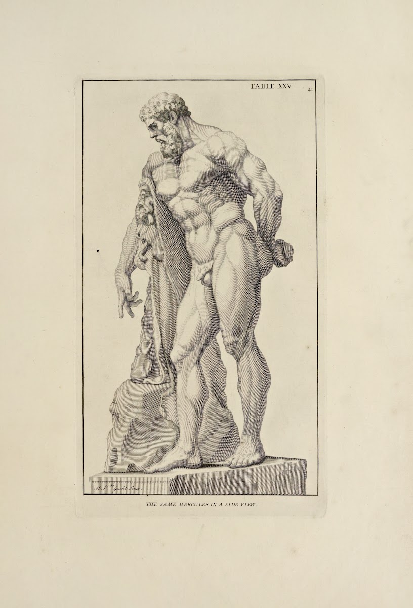Anatomy improvd and illustrated with regard to the uses thereof in designing Pl2