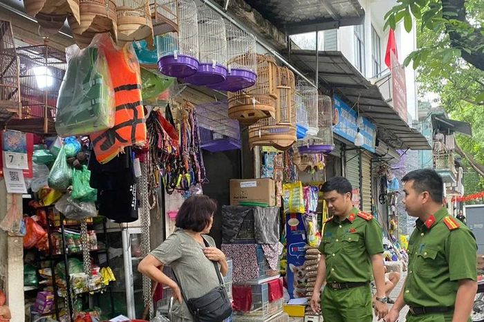 Kiểm tra hộ kinh doanh, thu giữ nhiều chim không rõ nguồn gốc - Chuyên trang An Ninh Thủ Đô - Báo Công an nhân dân