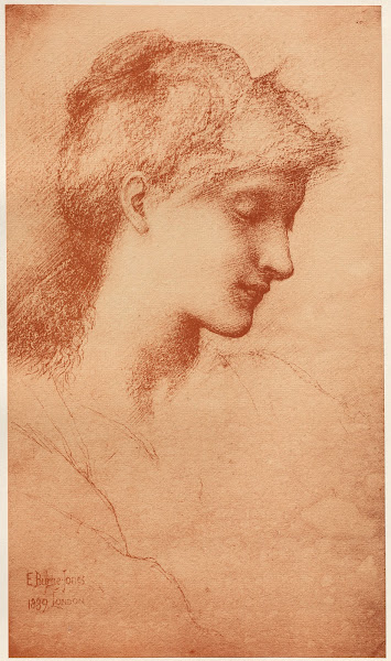 Beauty 1898 1899